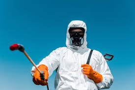 Best Residential Pest Control  in Whetstone, AZ